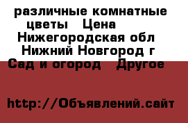  различные комнатные цветы › Цена ­ 200 - Нижегородская обл., Нижний Новгород г. Сад и огород » Другое   